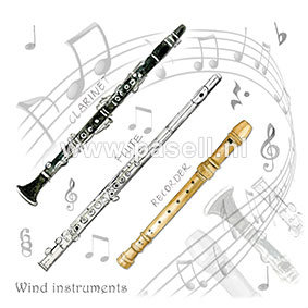Wind instruments PLS020