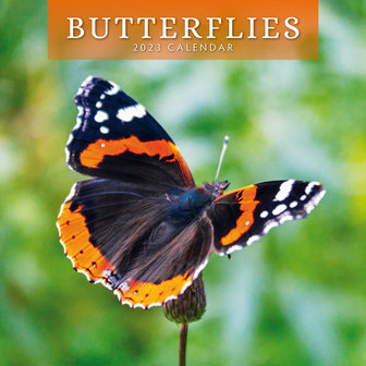 Butterflies jaarkalender 2023