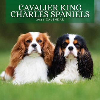Cavalier King Charles kalender 2023