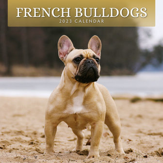 French Bulldogs jaarkalender 2023