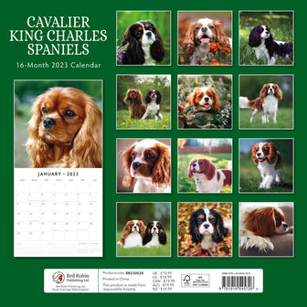 Cavalier King Charles kalender 2023