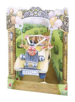 3D Swing  - Wedding Car