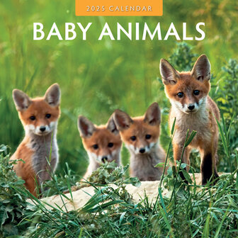Baby Animals calendar 2025