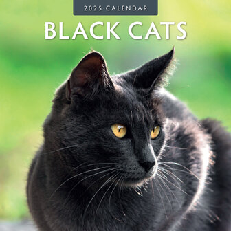 Black Cats calendar 2025