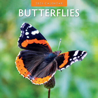 Butterflies kalender 2025