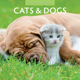 Cats &amp; Dogs kalender 2025