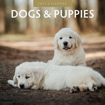 Dogs &amp; Puppies calendar 2025