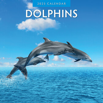 Dolphins kalender 2025