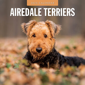 Airedale Terriers kalender 2025
