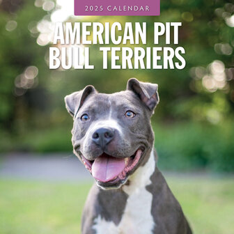 American Pit Bull Terriers calendar 2025