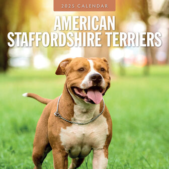 American Staffordshire Terriers calendar 2025