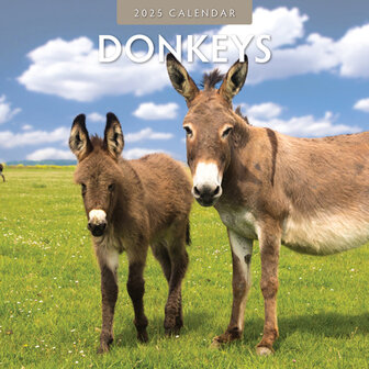 Donkeys kalender 2025