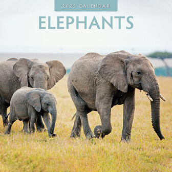 Elephants kalender 2025