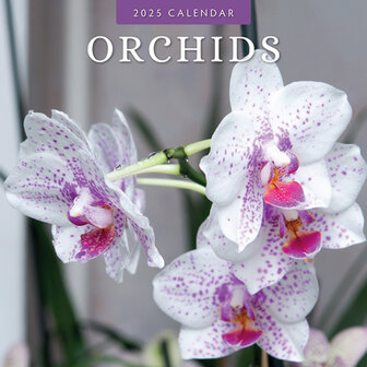 Orchids calendar 2025