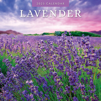 Lavender kalender 2025