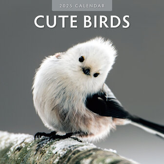 Cute Birds kalender 2025