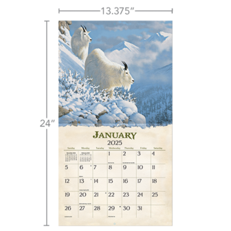 LANG Calendar 2025 Beyond The Woods 