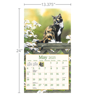 LANG Calendar 2025 Cats in the Country 