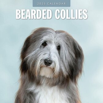 Bearded Collies calendar 2025