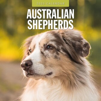 Australian Shepherds kalender 2025