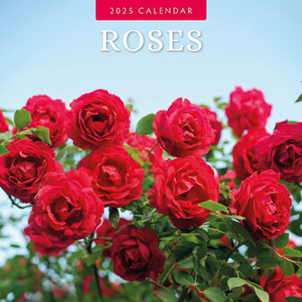 Roses kalender 2025