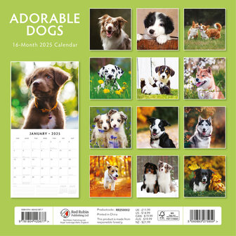 Adorable Dogs calendar 2025
