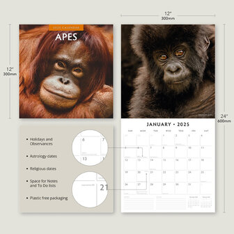 Apes kalender 2025