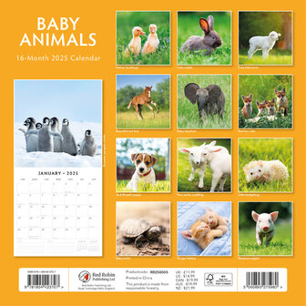 Baby Animals kalender 2025