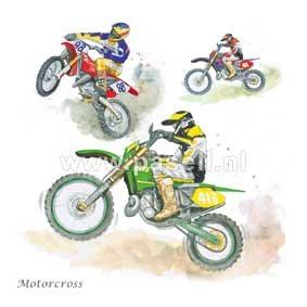 PLS004 Motorcross