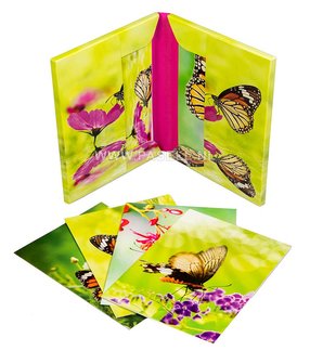 Flowers &amp; Butterflies W-GSC01457  inside