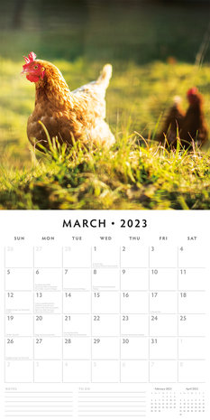 Chickens jaarkalender 2023