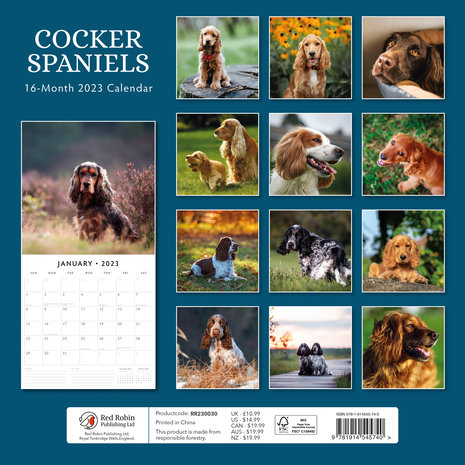Cocker Spaniel kalender 2023
