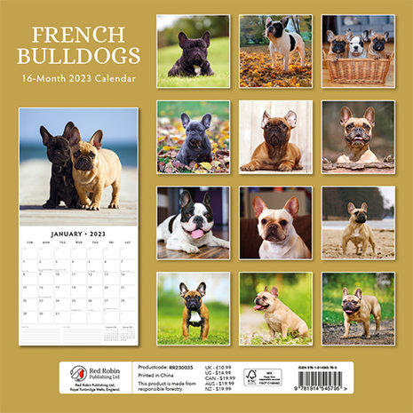 French Bulldogs jaarkalender 2023