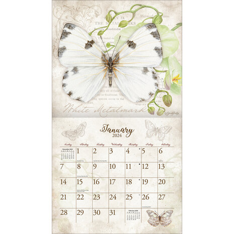Lang Kalender 2024 Butterflies 