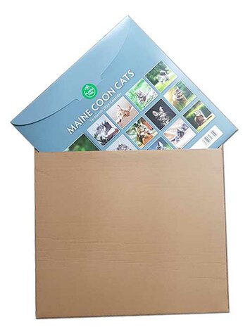  Calendar envelope packaging - per 5 pieces