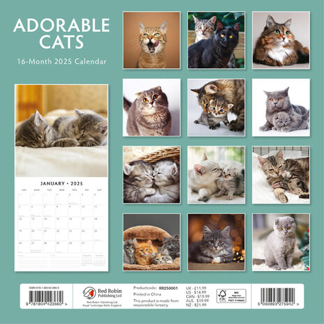 Adorable Cats kalender 2025