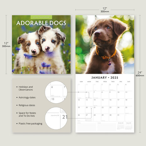 Adorable Dogs calendar 2025