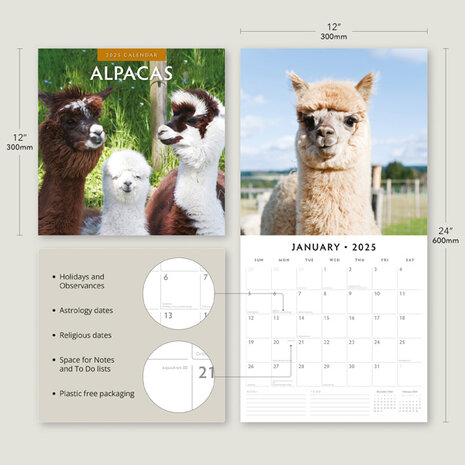 Alpacas calendar 2025