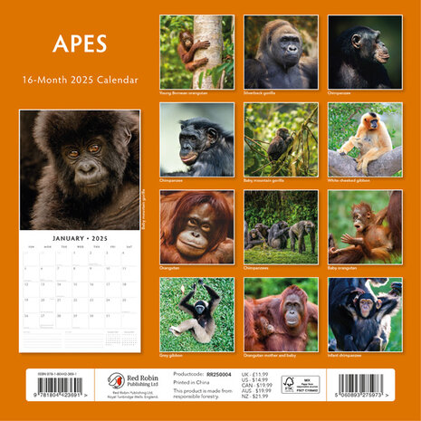 Apes calendar 2025