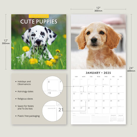 Cute Puppies calendar 2025