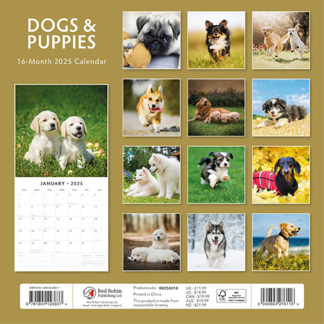 Dogs & Puppies kalender 2024