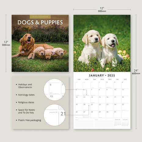 Dogs & Puppies kalender 2025