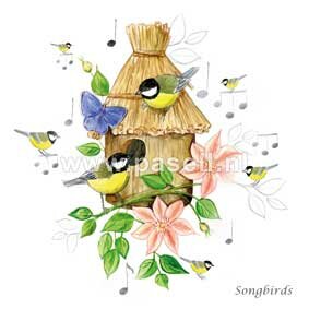 PLS014 Songbirds